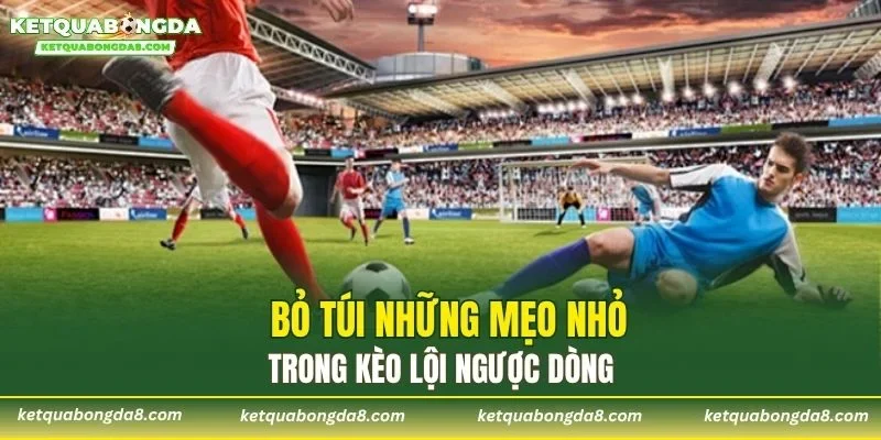 Bỏ túi những mẹo nhỏ trong kèo lội ngược dòng