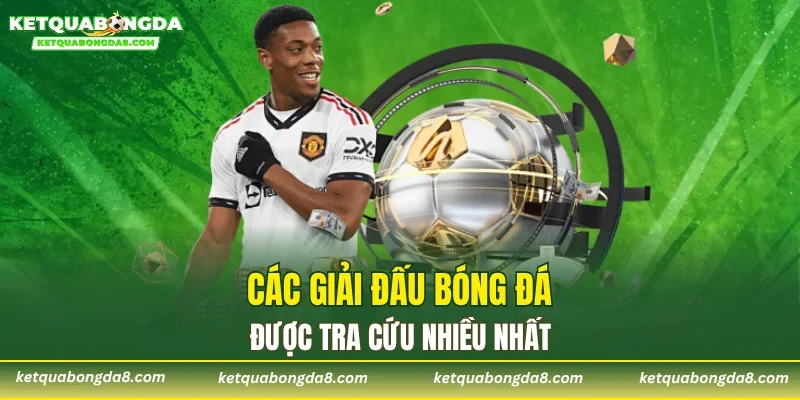 Các giải đấu bóng đá được tra cứu nhiều nhất