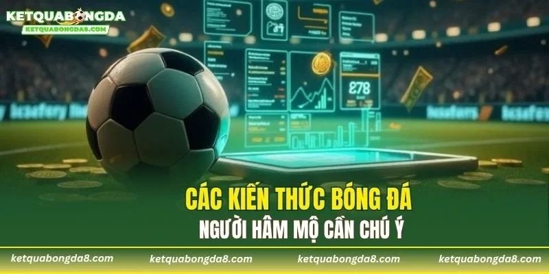 Các kiến thức bóng đá người hâm mộ cần chú ý