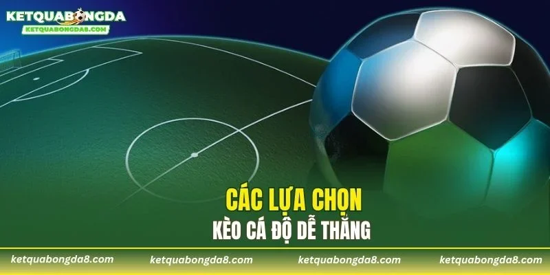 Các lựa chọn kèo cá độ dễ thắng