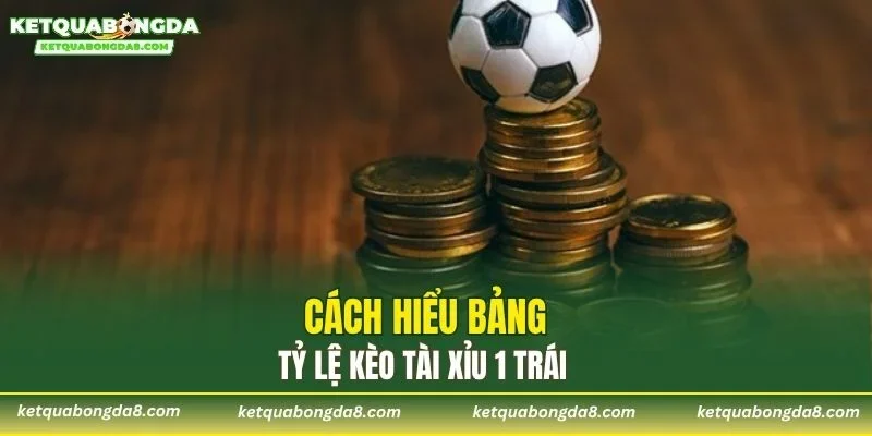 Cách hiểu bảng tỷ lệ kèo tài xỉu 1 trái