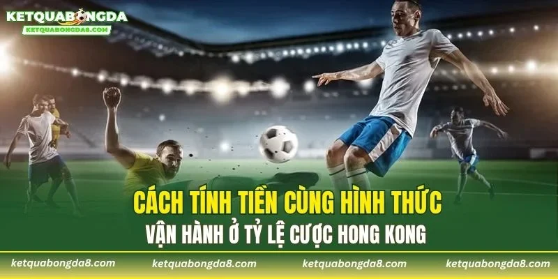 Cách tính tiền cùng hình thức vận hành ở tỷ lệ cược Hong Kong