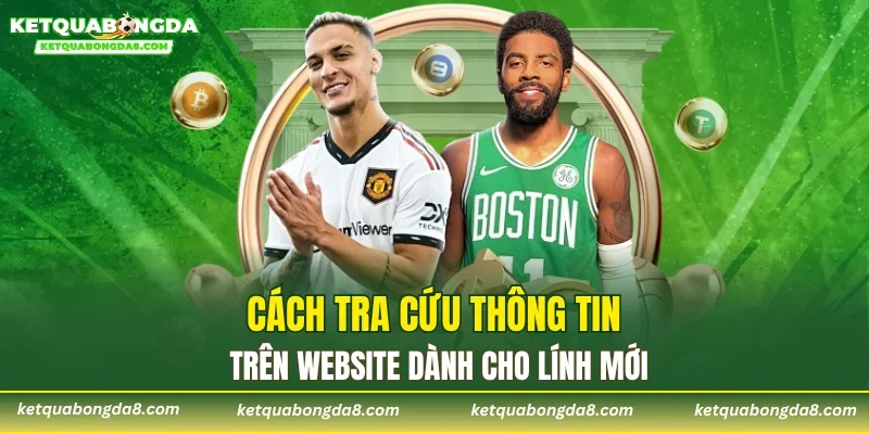 Cách tra cứu thông tin trên website dành cho lính mới