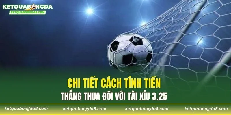 Chi tiết cách tính tiền thắng thua đối với tài xỉu 3.25