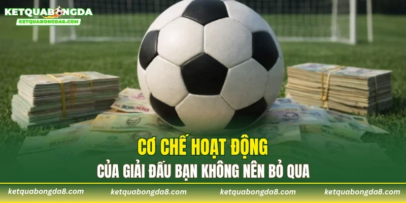 Cơ chế hoạt động của giải đấu bạn không nên bỏ qua
