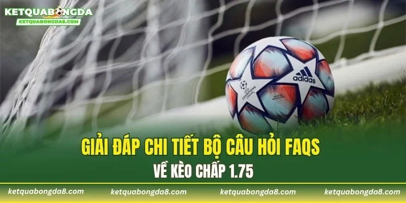 Giải đáp chi tiết bộ câu hỏi FAQs về kèo chấp 1.75