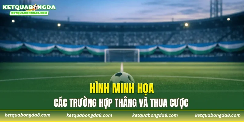 Hình minh họa các trường hợp thắng và thua cược
