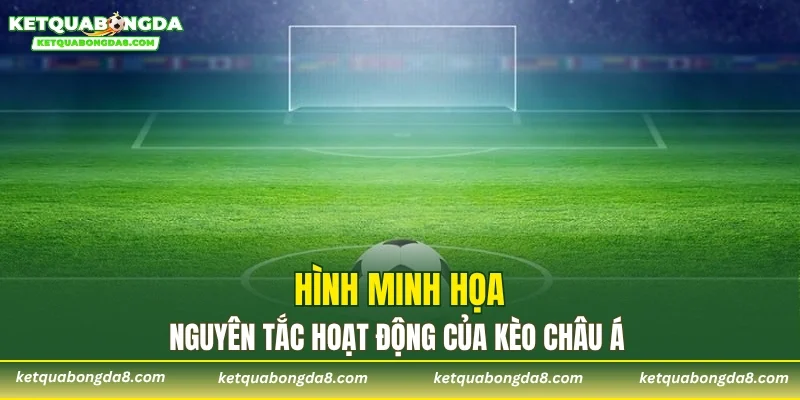 Hình minh họa nguyên tắc hoạt động của kèo châu Á