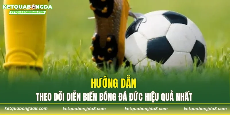 Hướng dẫn theo dõi diễn biến bóng đá Đức hiệu quả nhất