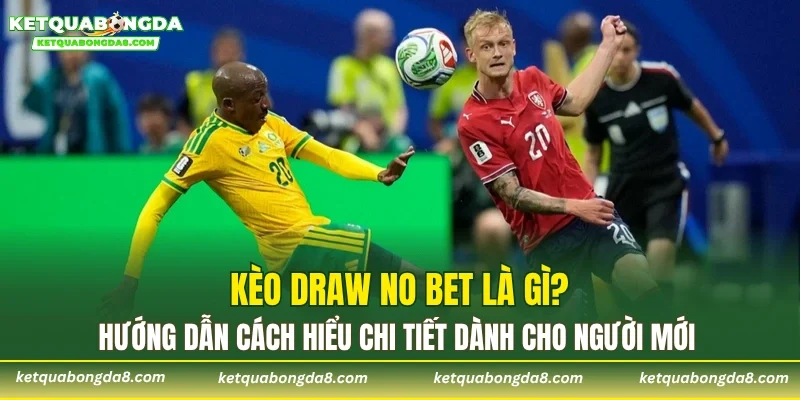 Kèo Draw No Bet là gì? Hướng dẫn cách hiểu chi tiết dành cho người mới