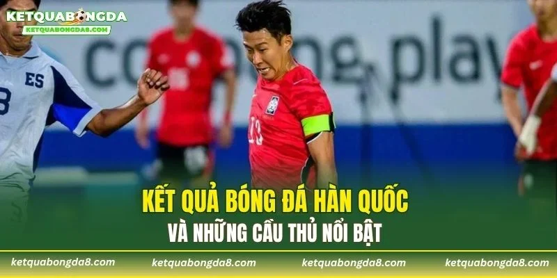 Kết quả bóng đá Hàn Quốc và những cầu thủ nổi bật