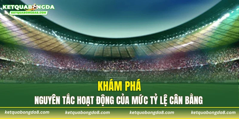 Khám phá nguyên tắc hoạt động của mức tỷ lệ cân bằng