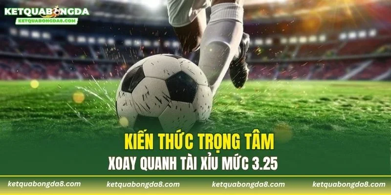 Kiến thức trọng tâm xoay quanh tài xỉu mức 3.25