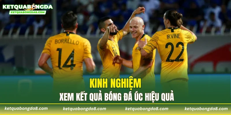 Kinh nghiệm xem kết quả bóng đá Úc hiệu quả