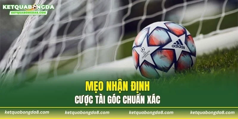 Mẹo nhận định cược tài góc chuẩn xác