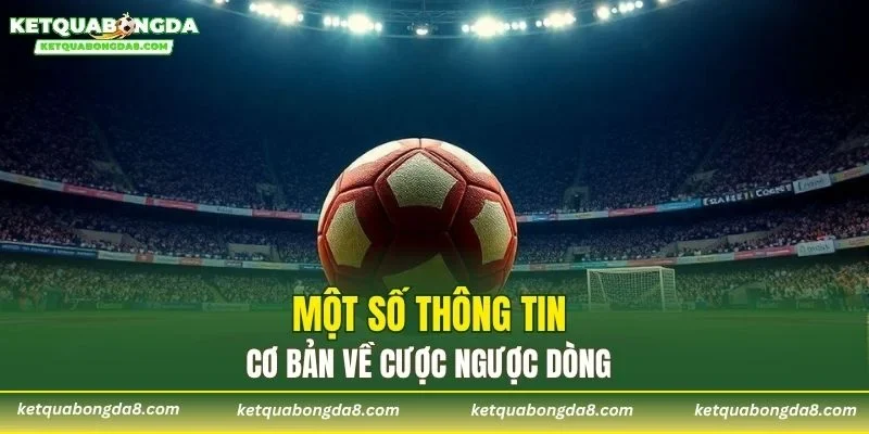Một số thông tin cơ bản về cược ngược dòng