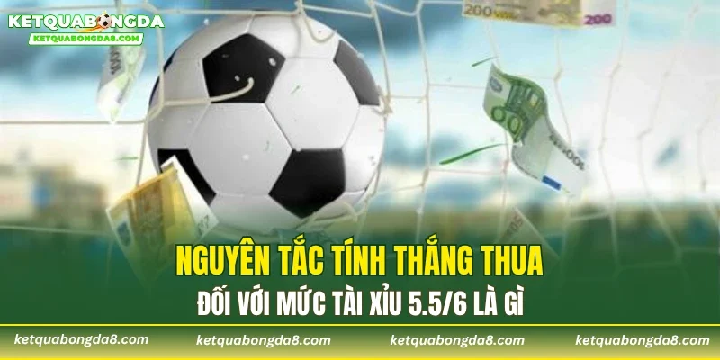 Nguyên tắc tính thắng thua đối với mức Tài Xỉu 5.5/6 là gì