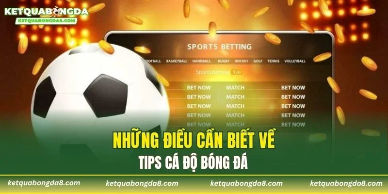 Những điều cần biết về tips cá độ bóng đá