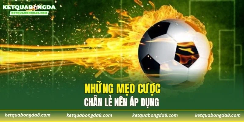 Những mẹo cược chẵn lẻ nên áp dụng