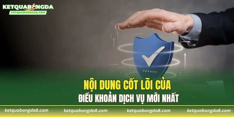 Nội dung cốt lõi của điều khoản dịch vụ mới nhất