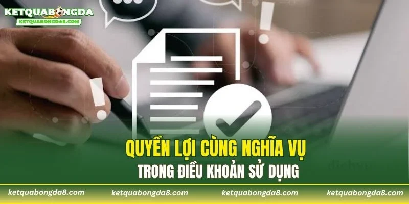 Quyền lợi cùng nghĩa vụ trong điều khoản sử dụng