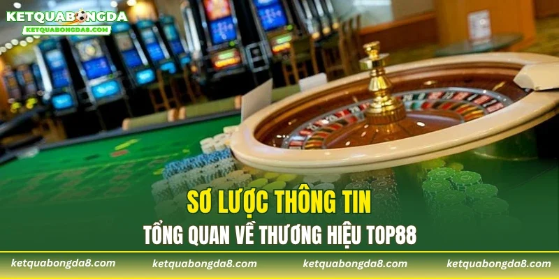 Sơ lược thông tin tổng quan về thương hiệu TOP88