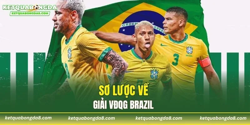 Sơ lược về giải VĐQG Brazil