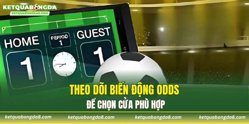 Theo dõi biến động Odds để chọn cửa phù hợp