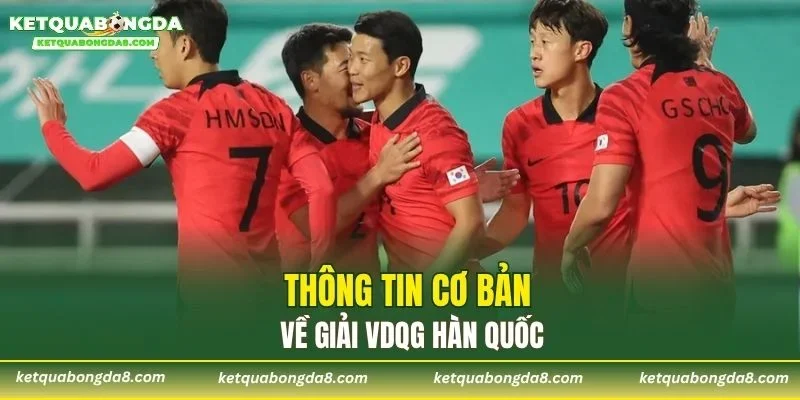 Thông tin cơ bản về giải VDQG Hàn Quốc