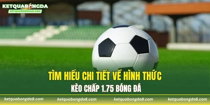 Tìm hiểu chi tiết về hình thức kèo chấp 1.75 bóng đá