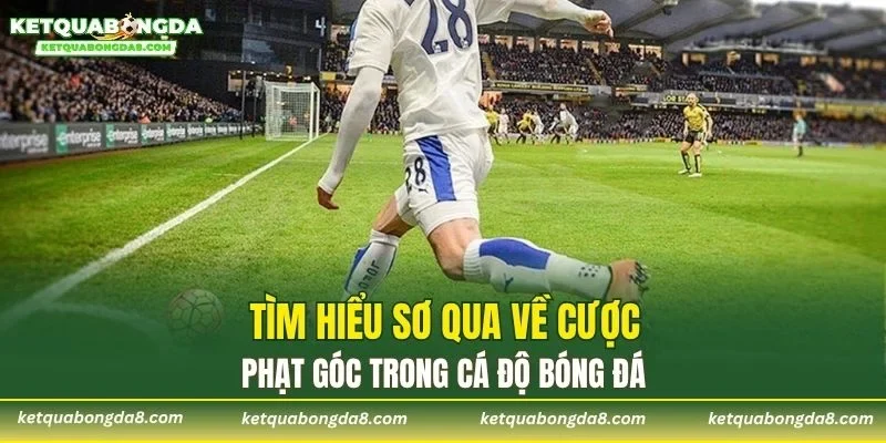 Tìm hiểu sơ qua về cược phạt góc trong cá độ bóng đá