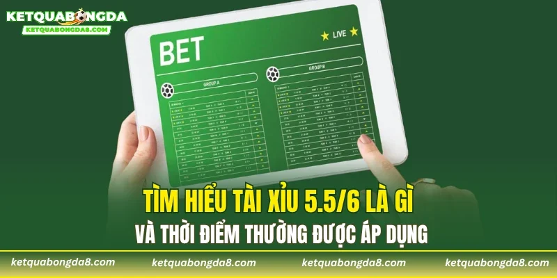 Tìm hiểu Tài Xỉu 5.5/6 là gì và thời điểm thường được áp dụng