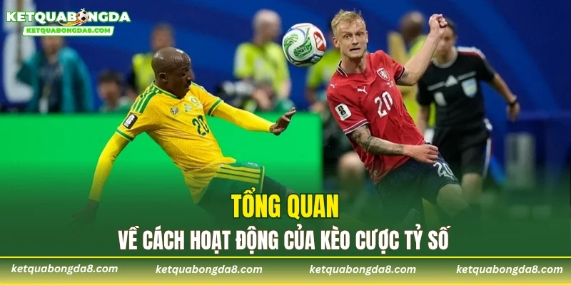 Tổng quan về cách hoạt động của kèo cược tỷ số