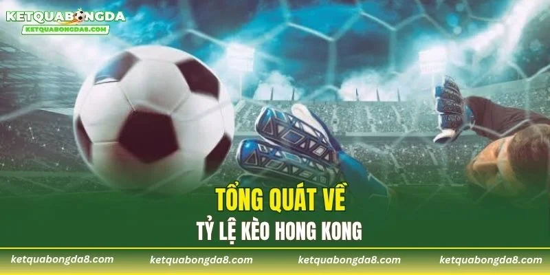 Tổng quát về tỷ lệ kèo Hong Kong